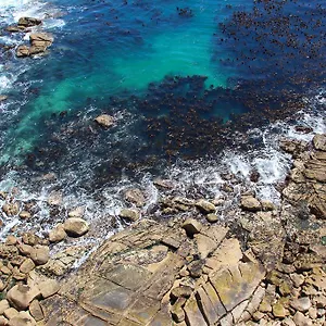 https://ambassador-hotel.hotels-capetown.com